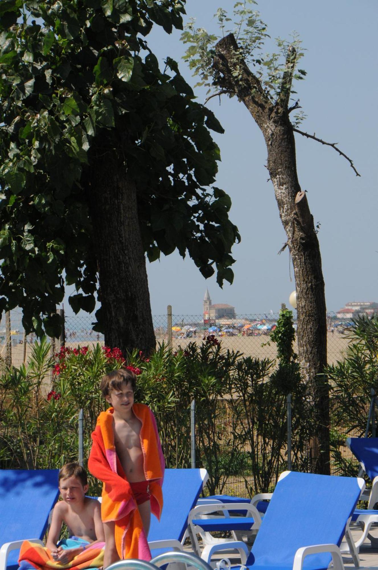 Campsite Punta Falconera Camping & Village